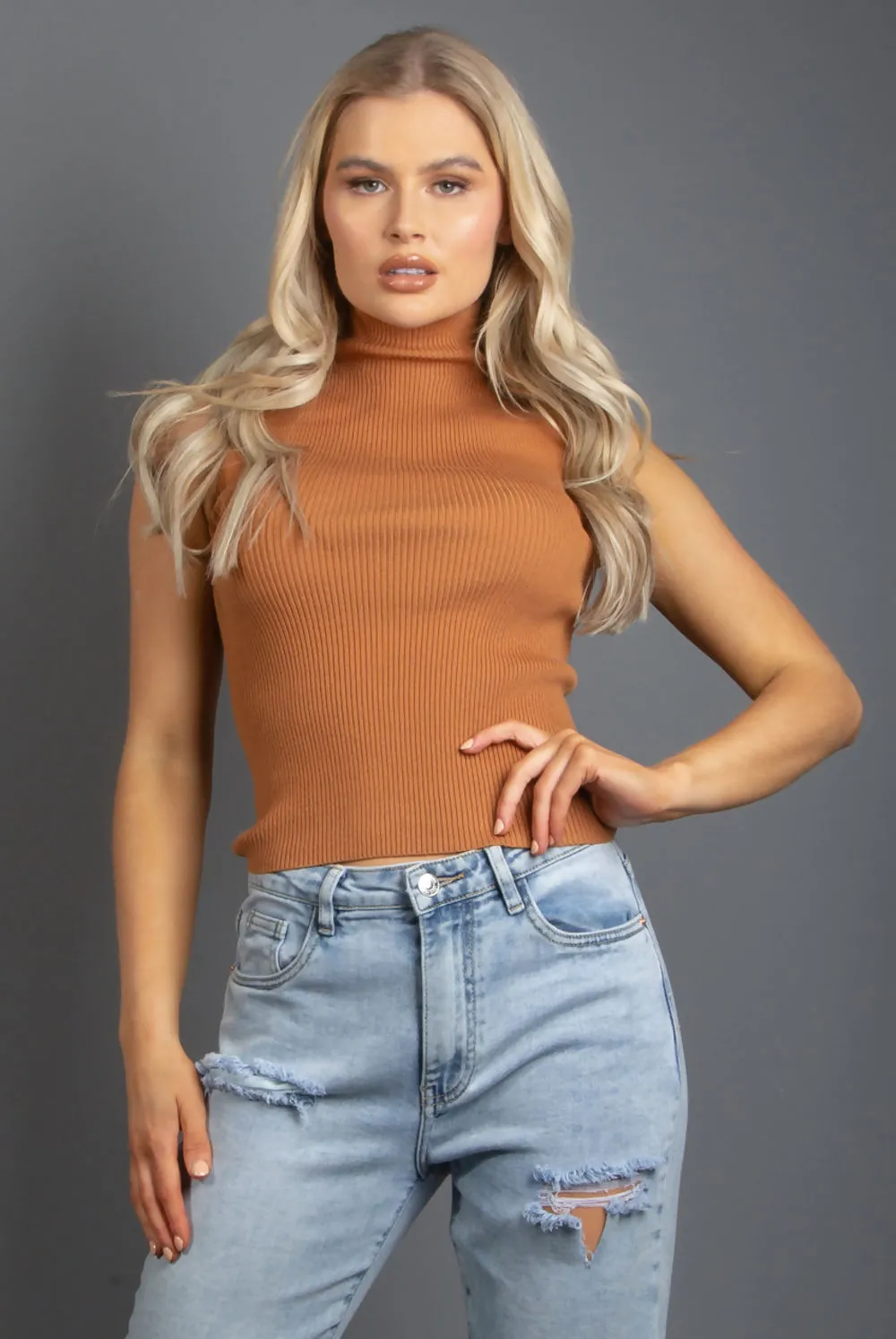 Light Brown Ribbed High Neck Crop Tops