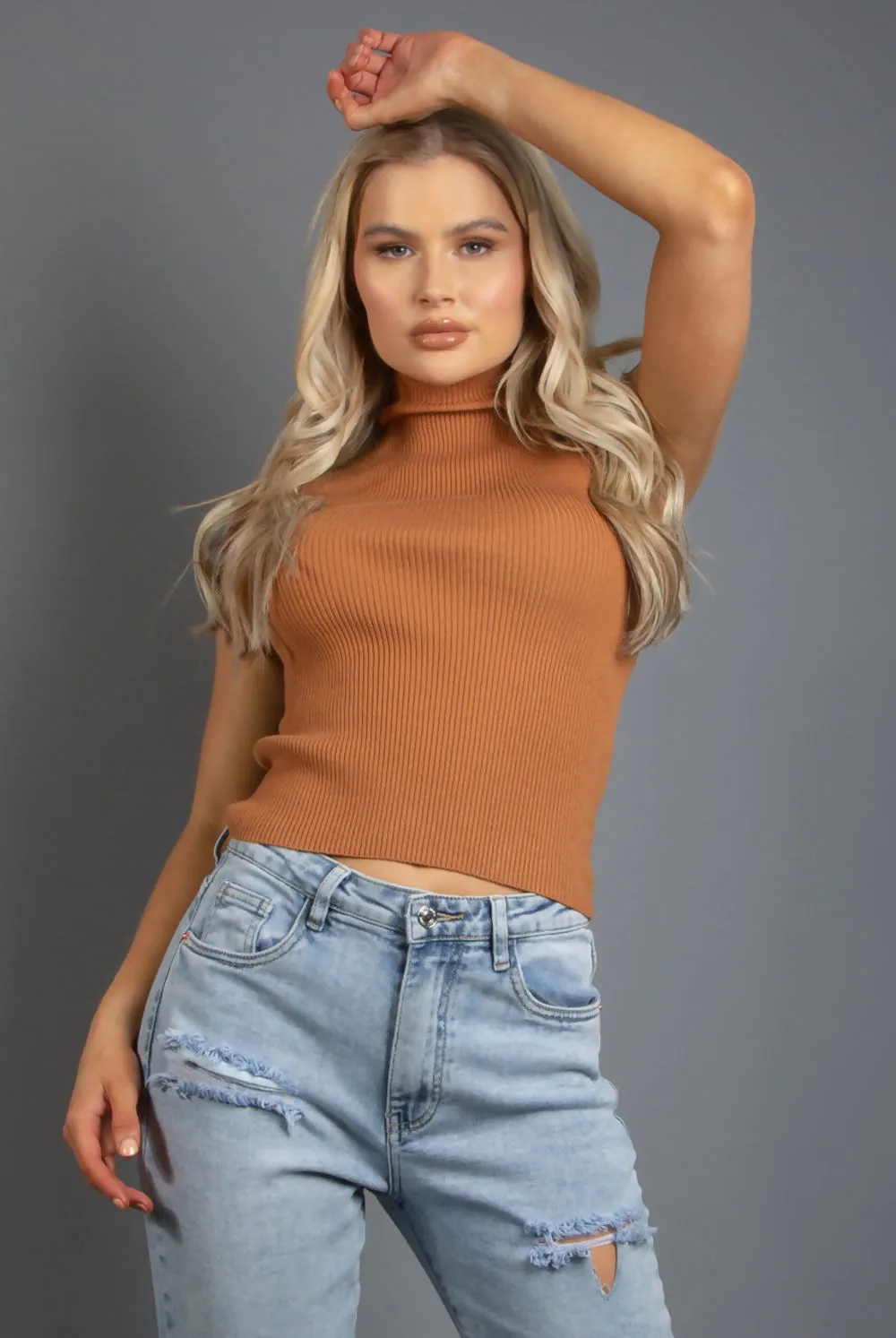 Light Brown Ribbed High Neck Crop Tops