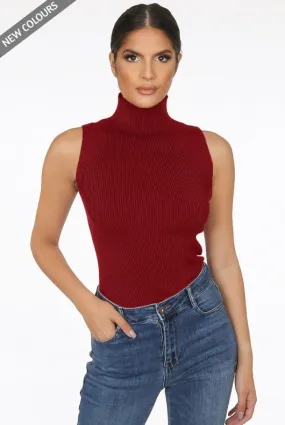 Wine Ribbed High Neck Crop Tops